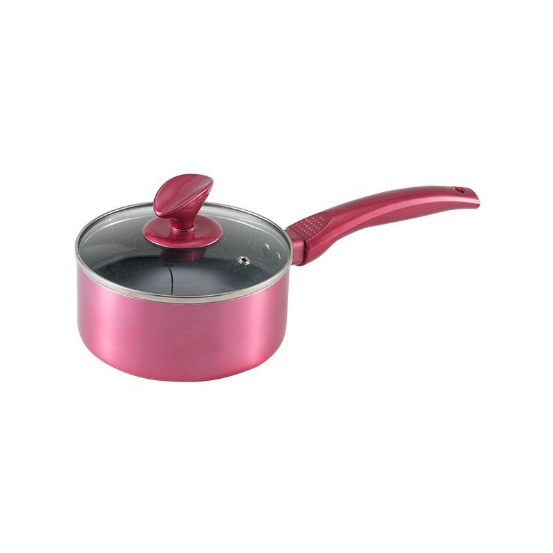 WT-MP011 Elegant Induction Bottom Forged Saucepan